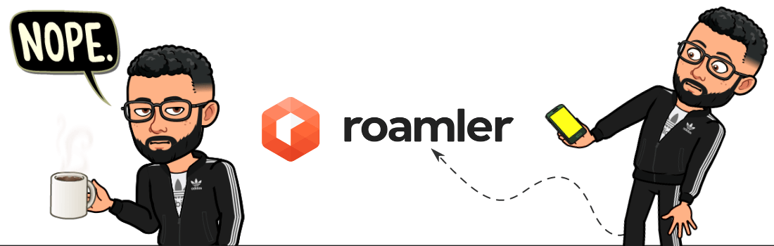 Roamler pros and cons